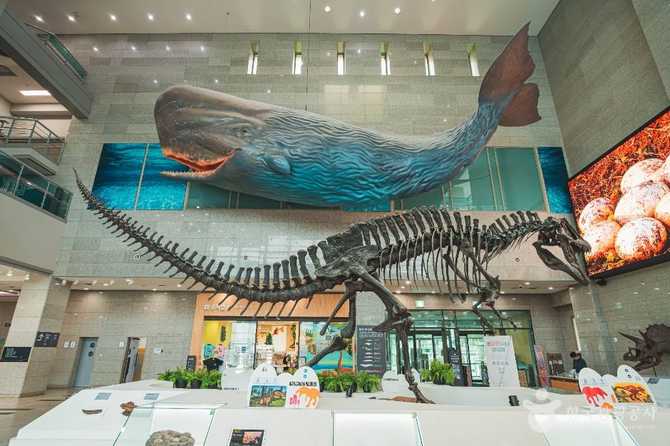Seodaemun Natural History Museum - image 2