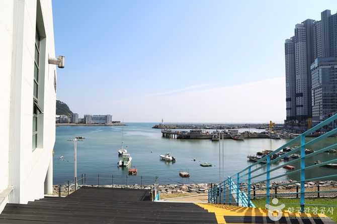 Explore the Busan Dongsam - image 9