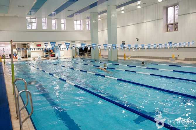 50 Plus Swimming Pool in - image 2