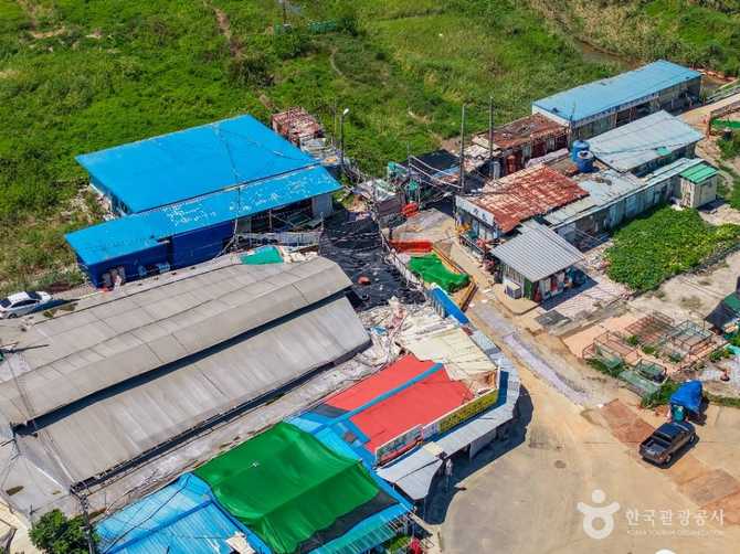 Discover the Charm of Seonchang - image 2