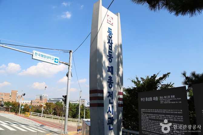 Explore the Busan Dongsam - image 8