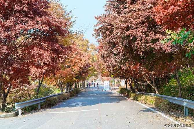 대둔산도립공원 자연경관과 산행 정보 | 대둔산도립공원(논산) 자연경관과 산행 정보 3