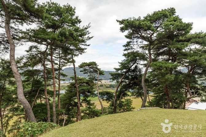 Discover Goesan Chilchungsa and Pisejeon - image 7