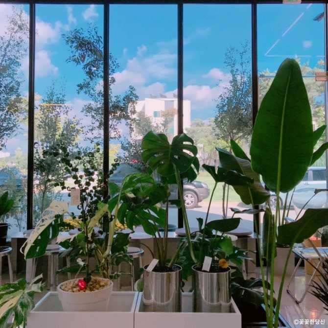 Visit the Unique Rare Plant - image 3