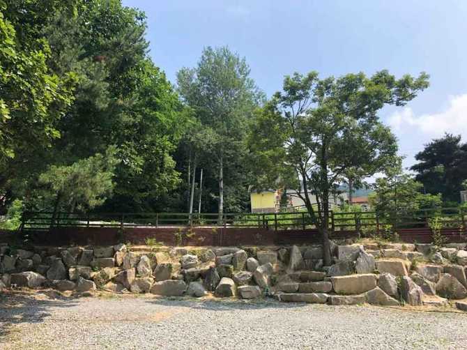 Experience Nature at Yongin Dungjigol - image 4
