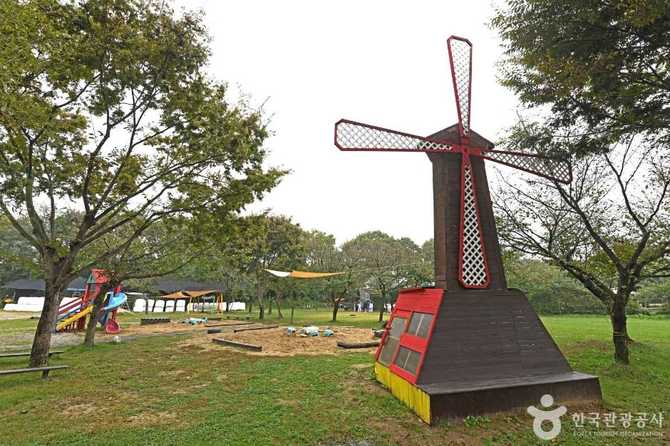 Jinju Ranch Dairy Farm Experience - image 2