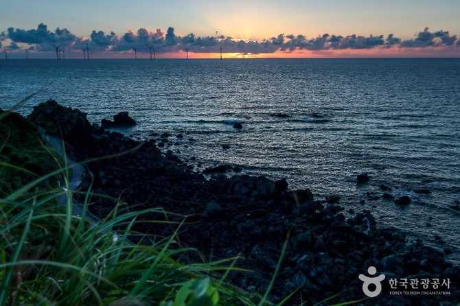 제주도 애월곽금올레길, 한담해안산책로의 매력과 정보 3