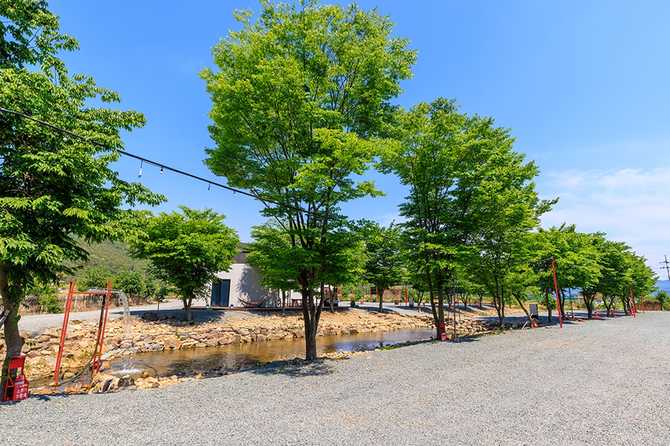 Experience Nature at Bitsaori Campground - image 5