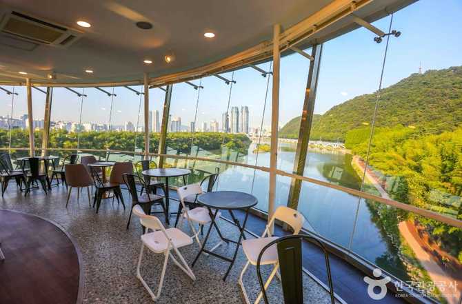 울산 태화강 전망대 가볼 만한 명소, 위치와 이용 정보 안내 3