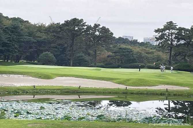 Discover the Best Golf Experience - image 3
