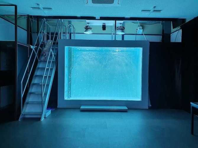 Experience Unique Underwater Photography - image 2