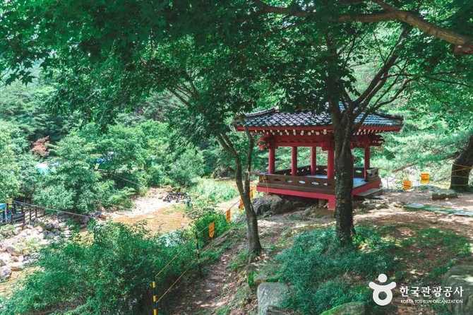 상주 장각폭포와 금란정: 자연의 아름다움과 여행 정보 11