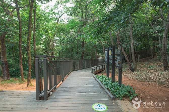 서울 강서구 우장산공원 안내 및 최신 스마트 시설 정보 3