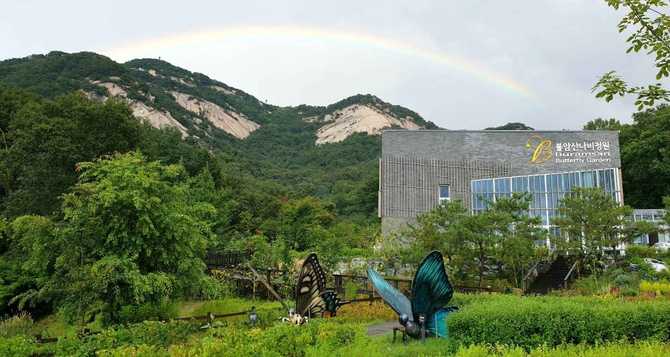 서울 노원구 불암산나비정원 방문 가이드 및 체험 정보 9