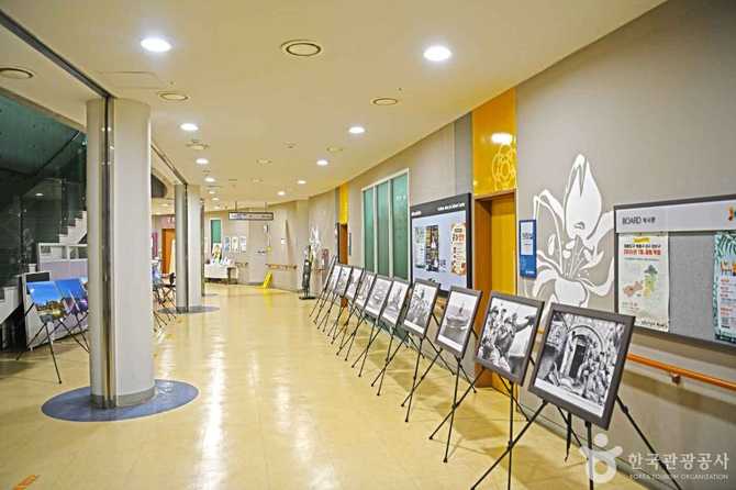 Discover the Cultural Hub of - image 3