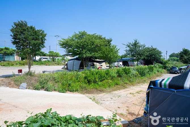 Experience Seaside Camping at Maehyang - image 4