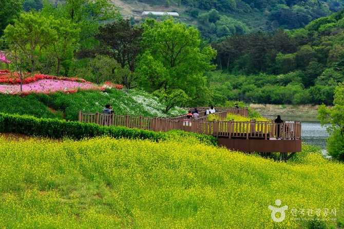Explore the Stunning Okjeongho Suspensio - image 5