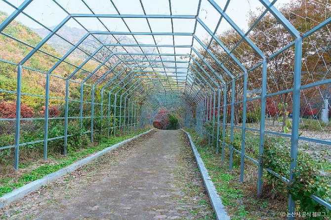 대둔산도립공원 자연경관과 산행 정보 | 대둔산도립공원(논산) 자연경관과 산행 정보 4