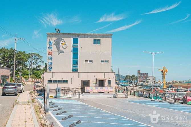 울산 주전항 여행 가이드: 자연경관과 맛집 정보 총정리 4