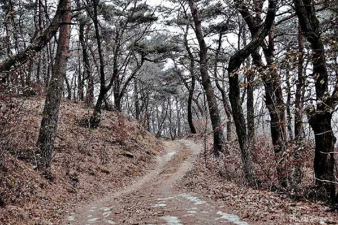 충북 괴산의 명산, 백마산의 모든 정보와 여행 팁 4