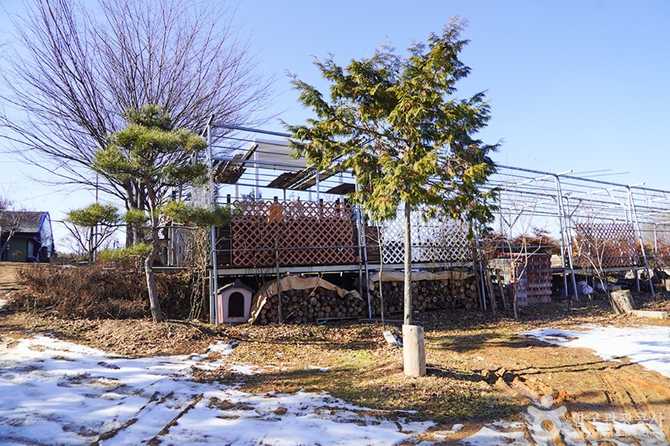 화성시 휴양농원 추천, 자연과 체험이 가득한 마실 휴양농원 안내 4