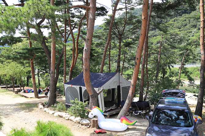 설악산 인근 솔방울 펜션캠핑장 안내 및 예약 정보 4