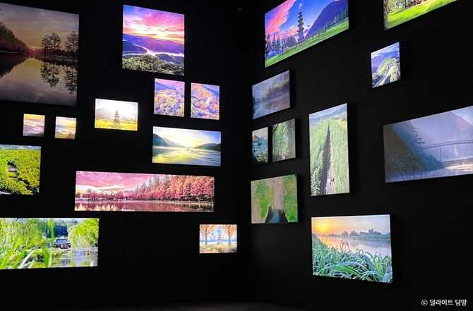 Discover Delight Damyang - image 4