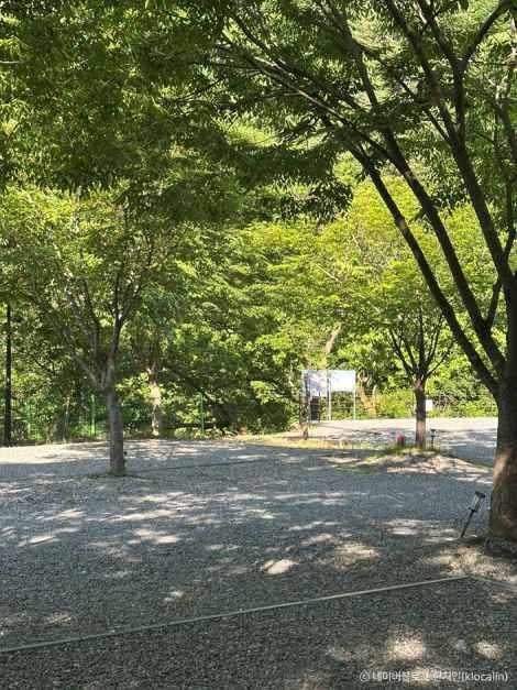 경기도 가평 캠핑장 추천, 반려견과 함께하는 자연 친화 캠핑소리251 4