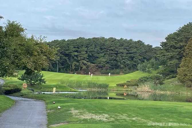 Discover the Best Golf Experience - image 4