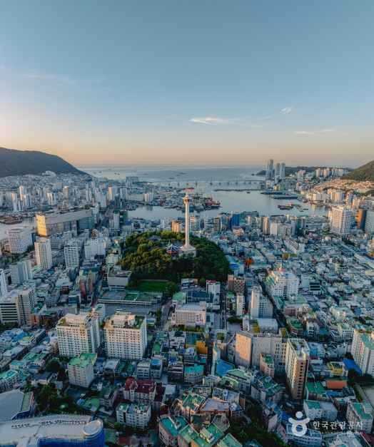 부산타워 전망대 정보와 방문 팁 - 부산 대표 관광 명소 소개 4