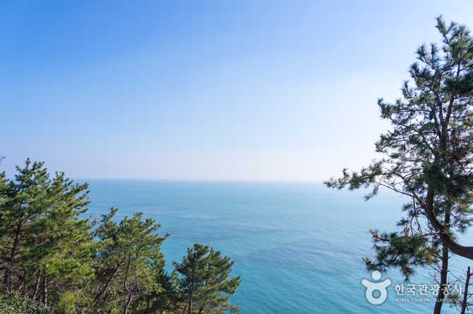부산 해운대 해파랑길 2코스 가이드: 숲길과 해안 걷기 추천 코스 4