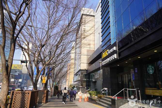 서울 강남구 렉스관광호텔 소개 및 예약 정보 4