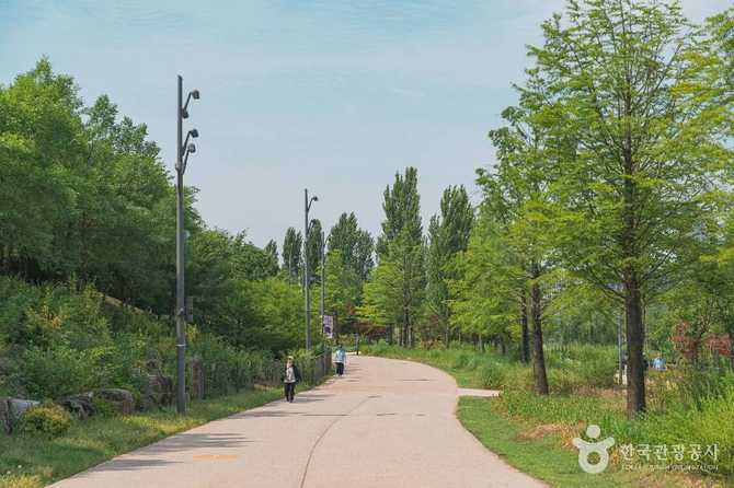 서울식물원 호수공원: 자연과 휴식을 동시에 즐기는 도심 속 생태공원 4