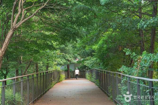 서울 강서구 우장산공원 안내 및 최신 스마트 시설 정보 4