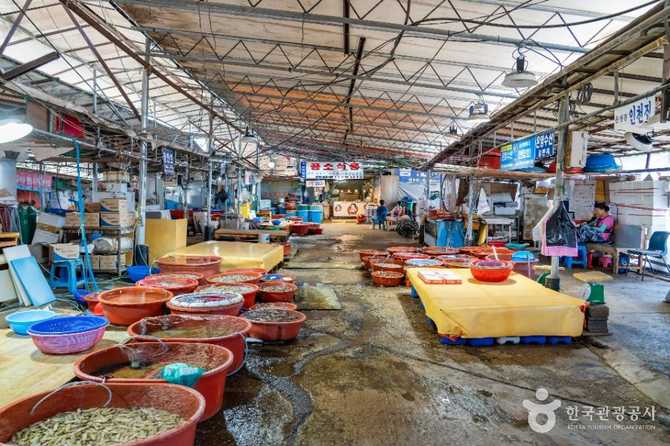 Discover the Charm of Seonchang - image 3