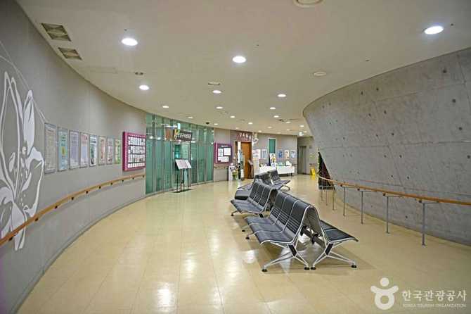 Discover the Cultural Hub of - image 5