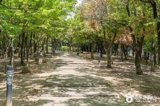 김해 수릉원: 가야왕 수로왕과 허왕후의 역사와 자연을 만나는 생태공원 9