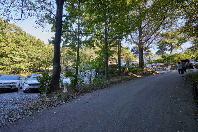 Experience Nature at Yongin Dungjigol - image 5