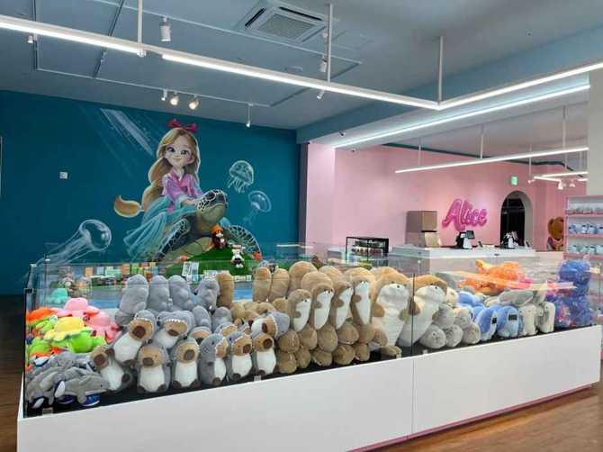 Discover Unique Souvenirs at Alice's - image 5