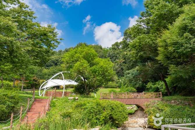 Discover Green Forest Healing at - image 4