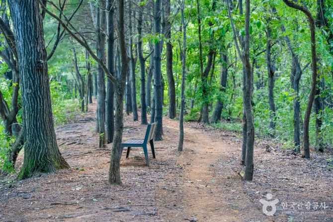 Hagil Sports Park Guide - image 6
