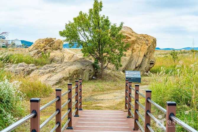경기도 화성 우음도: 공룡알 화석과 자연경관의 매력 6