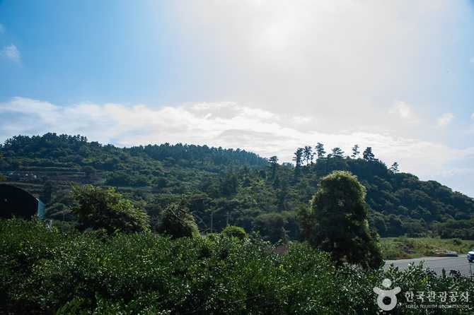 제주 안덕 월라봉: 자연과 역사를 동시에 즐기는 명소 10