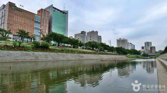 Discover the Beauty of Bulgwangcheon - image 5
