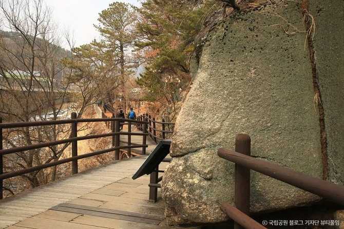 Discover the Best Hiking Trail - image 6