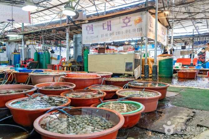 Discover the Charm of Seonchang - image 5
