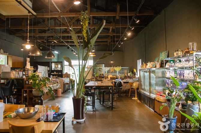 Experience Traditional Korean Alcohol at - image 3