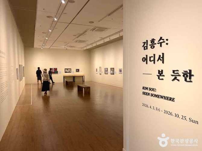 제주현대미술관 소개와 방문 정보 | 제주 문화예술의 중심지 17