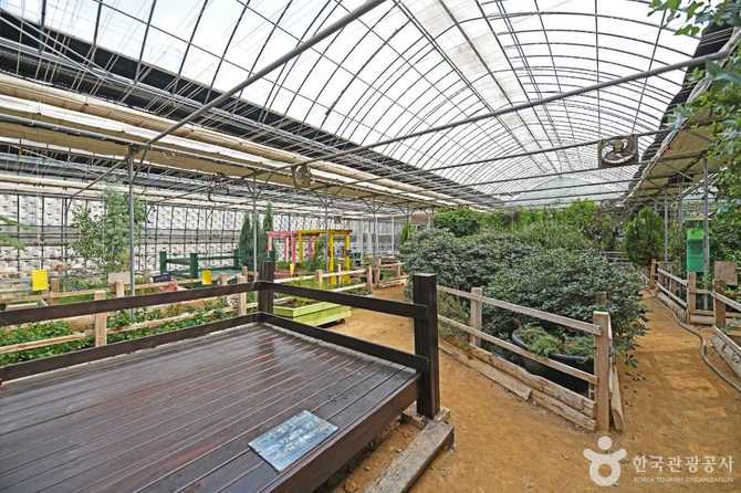경기도 화성 원평허브농원 방문 가이드 및 체험 정보 6