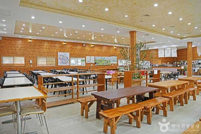 Jinju Ranch Dairy Farm Experience - image 5